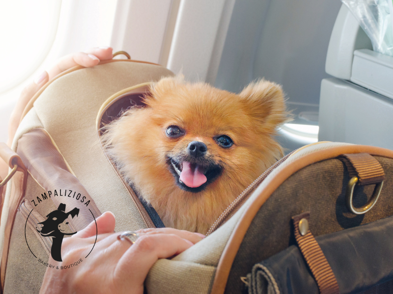 cane borsa viaggio areo