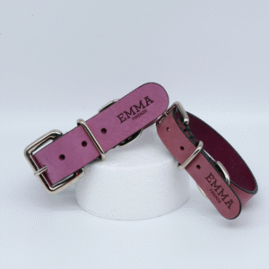 Collare per cani in pelle nabuk fucsia