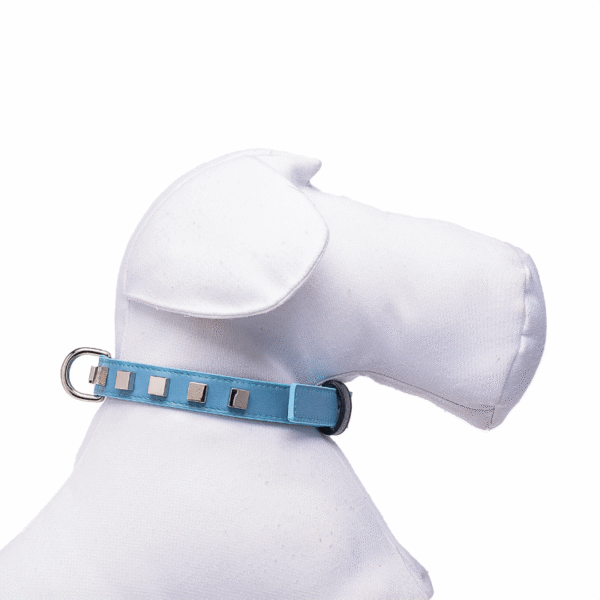 Collare azzurro e blu - immagine 2