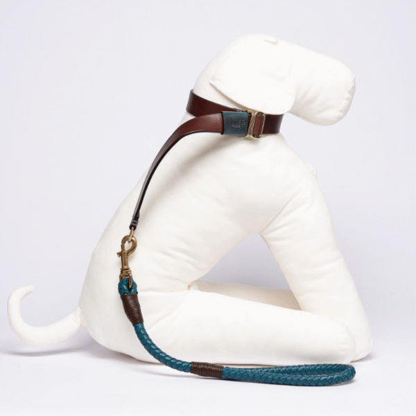 Collare scorrevole per cani - immagine 2