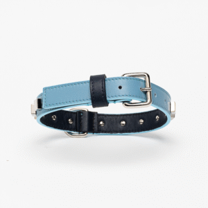 Collare azzurro e blu