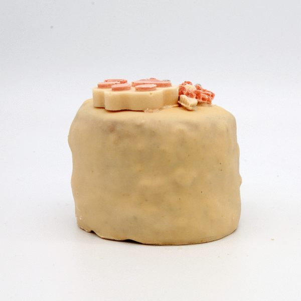 Torta Penny per cani - immagine 3
