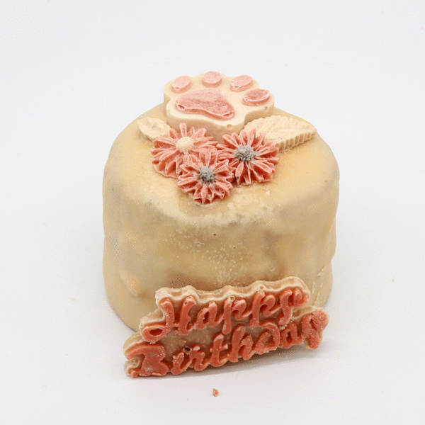 Torta Penny per cani - immagine 2