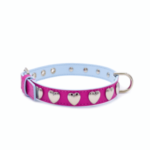 Collare per cani piccoli e medi