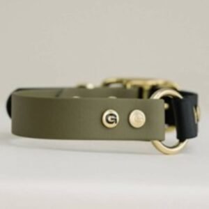 collare per cani verde oliva e nero
