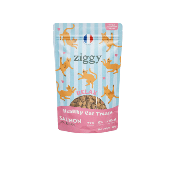 bustina colorata con snack croccanti all'interno per gatti