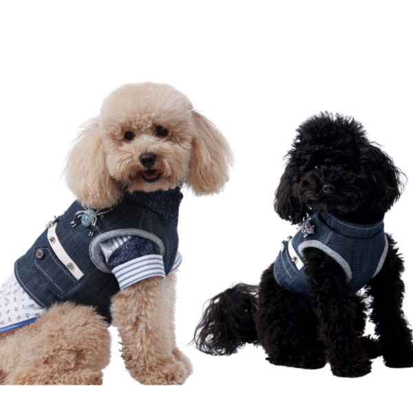 Gilet Jeans per cani - immagine 2