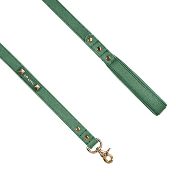 Guinzaglio per cani - Forest Green - immagine 2