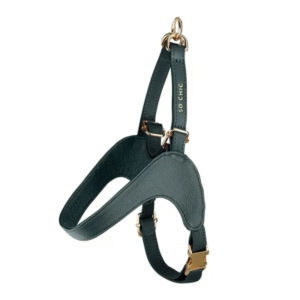Pettorina Pet So Chic verde