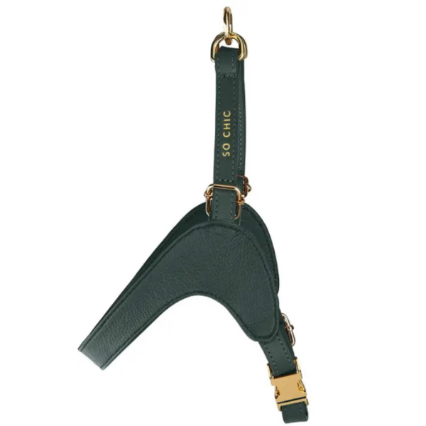 Pettorina Pet So Chic verde - immagine 3