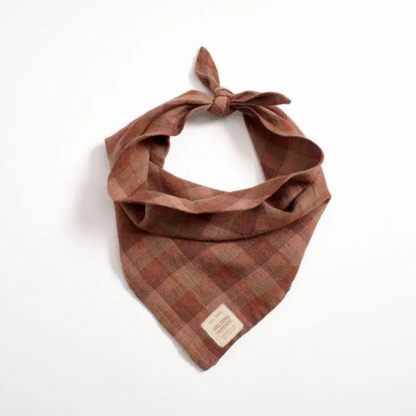 Bandana d'acero zuccherato