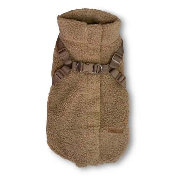 cappotto colore colore marroncino