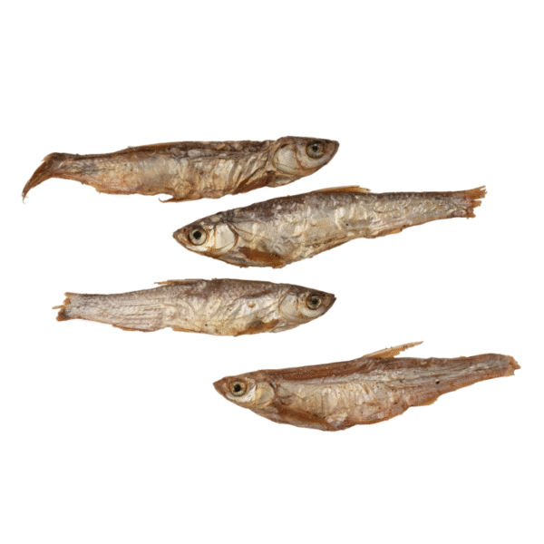 Pesce essiccato all'aria - immagine 2