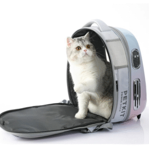 borsa trasportino per gatti