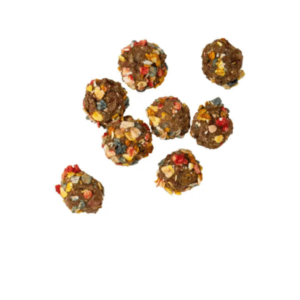 Biscotti Magici al Tacchino e Zucca - immagine 2