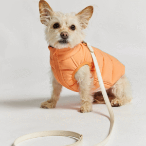 Piumino per cani corallo e kaki