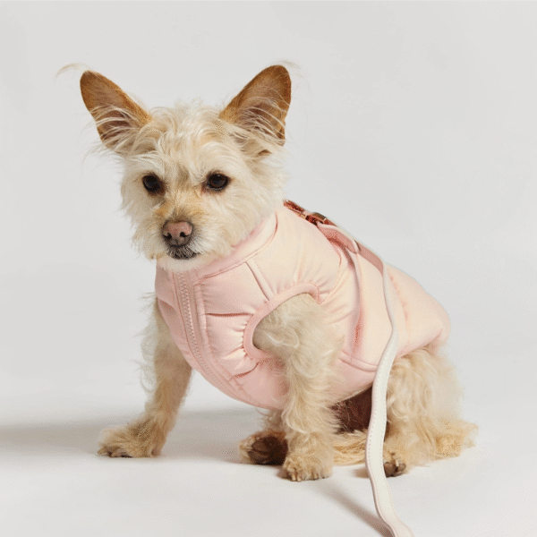 Piumino per cani rosa e lilla - immagine 2