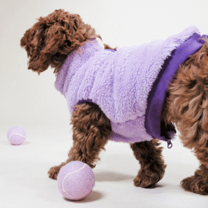 cane che indossa gilet colore lilla della barc london