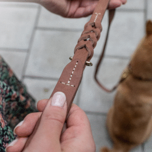 guinzaglio color carne per cani