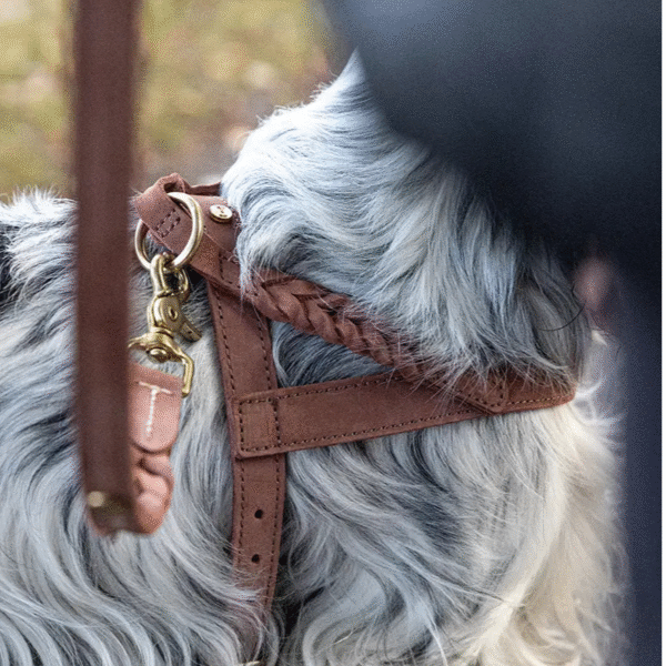 Guinzaglio per Cani Stockholm - immagine 3