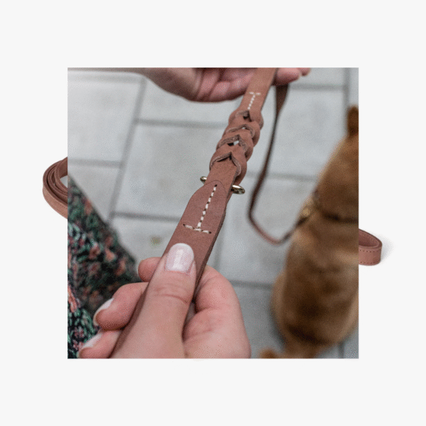 Guinzaglio per Cani Stockholm - immagine 2