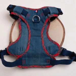 pettorina antitrazione cane, imbracatura cane jeans, pettorina ad y, style de woof, pettorina sostenibile, accessori cane riciclati, pettorina cane che tira