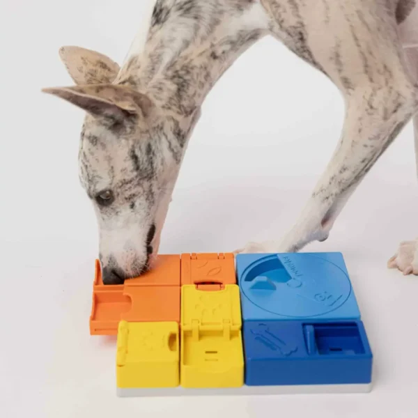 Gioco interattivo per cani puzzle Rainbow Set.