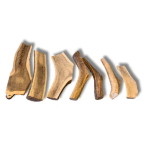 Corno di cervo tagliato per cani snack naturale con midollo esposto