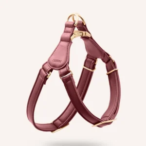 Imbracatura cane pelle vegana Jala Borgogna step-in chiusura magnetica