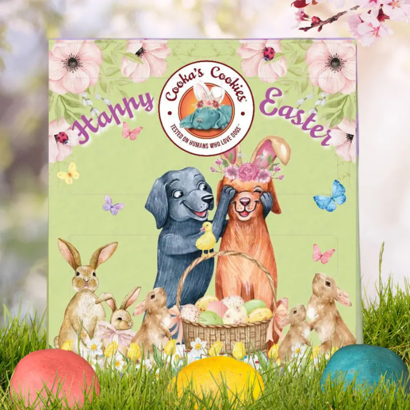 Calendario pasquale per cani Cooka con finestre caccia alle uova